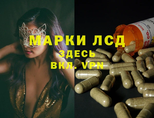 крисы Белокуриха